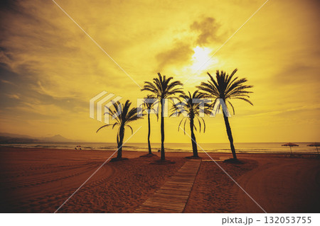 Seascape in early morning. Embankment with palm trees during a beautiful sunrise. Promenade with palm trees. San Juan beach, Alicante, Spain 132053755