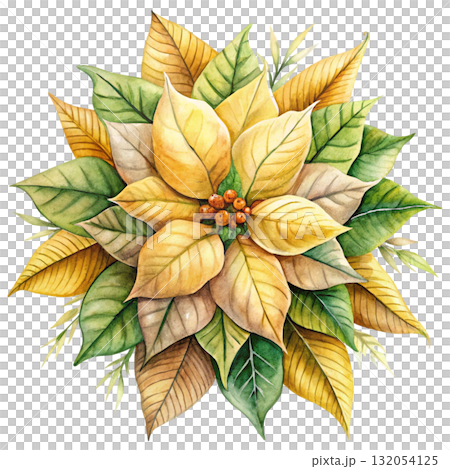 watercolor illustration of a pink and white poinsettia flower 132054125