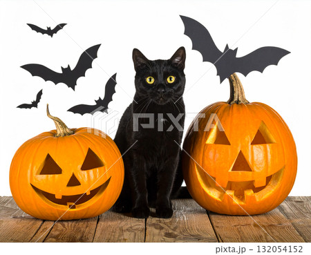 ハロウィン素材 132054152