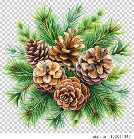 watercolor minimal botanical composition with pinecones 132054345