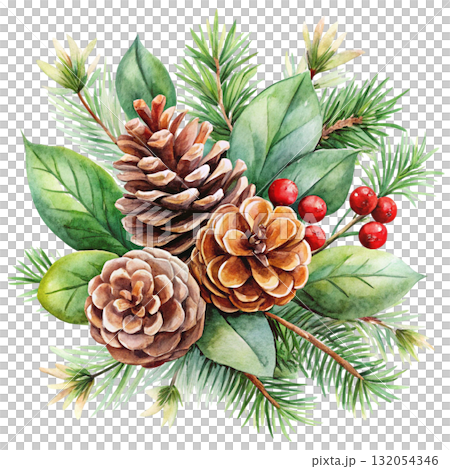 watercolor minimal botanical composition with pinecones watercolor minimal botanical composition with pinecones 132054346