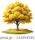 watercolor painting of a tree Clipart watercolor white background 132054545