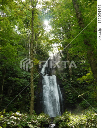 奥入瀬渓流の雲井の滝 132054561