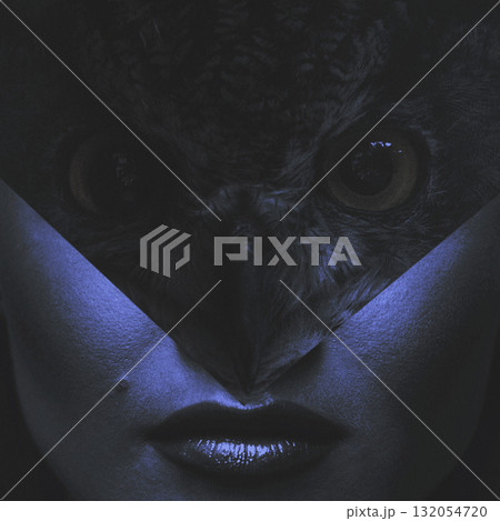 Abstract collage illustration of woman and owl portrait during night 132054720