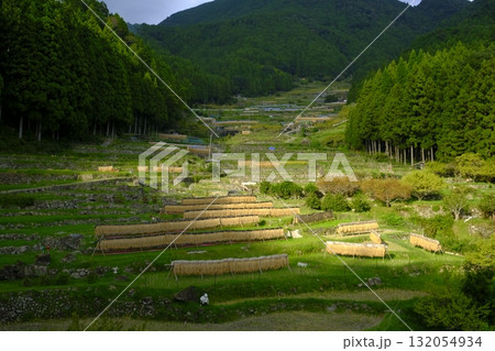 棚田のある風景 132054934