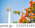 ジャカルタのモナス（独立記念塔）－青空にそびえるインドネシアの象徴 132055249