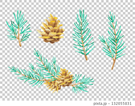Watercolor fir branches and pine cones 132055831