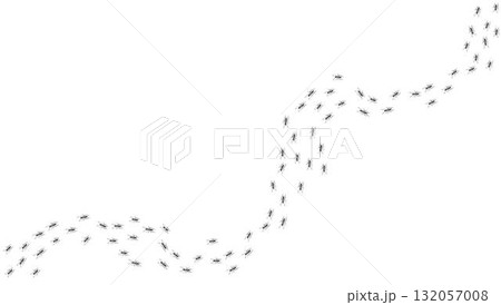 Ant trail. Walking group of black insects. Line of worker ants marching in search of food. Curve footpath of home pest isolated on transparent background. Vector Ant trail. Walking group of black insects. Line of worker ants marching in search of food. Curve footpath of home pest isolated on transparent background. Vector 132057008
