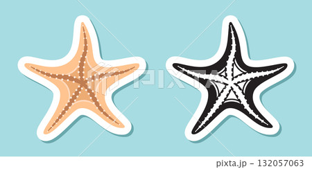 Starfish sticker icon in flat style. Sea stars vector illustration on isolated background. Sea animal sign business concept. 132057063
