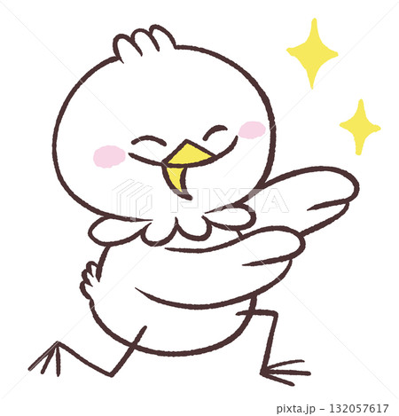 称賛する白い鳥のイラスト 132057617