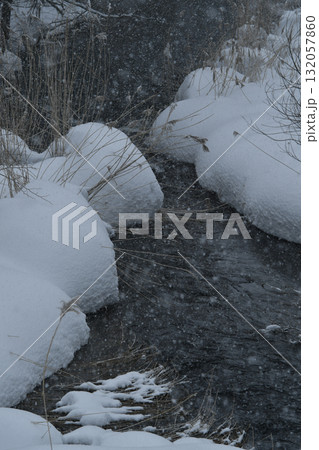 雪の積もった木 132057860