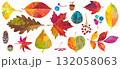 秋のカラフルに紅葉した、森の自然素材イラストセット。紅葉や木の実。ペインティングテクスチャのイラスト 132058063
