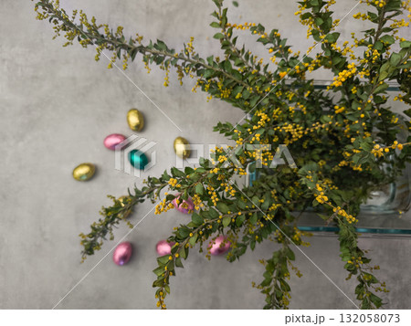 Easter chocolate eggs and mimosa flowers celebrating spring festivities copy space gray background Easter chocolate eggs and mimosa flowers celebrating spring festivities copy space gray background 132058073