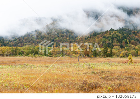 群馬県片品村 尾瀬ヶ原から望む紅葉の尾瀬ヶ原 群馬県片品村 尾瀬ヶ原から望む紅葉の尾瀬ヶ原 132058175