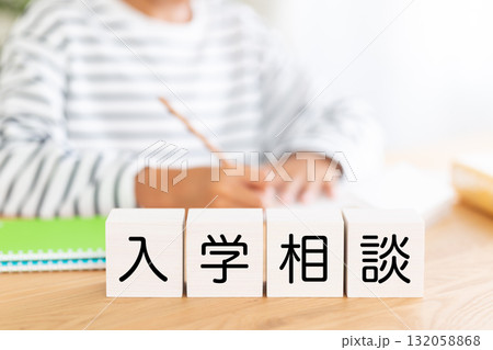 入学相談のブロックと勉強をする小学生の男の子 入学相談のブロックと勉強をする小学生の男の子 132058868