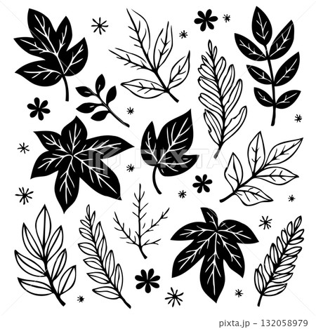 Monochrome botanical illustration of various leaves and floral elements design 132058979
