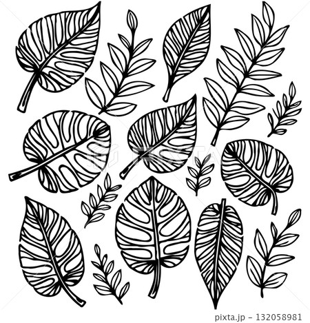Botanical Delight: A Hand-Drawn Collection of Leaves and Branches in Black and White 132058981
