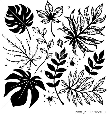 Elegant black and white vector collection of diverse leaves for versatile designs 132059105
