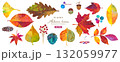 秋の紅葉した、自然素材のイラストセット。紅葉やどんぐりなどの木の実。カラフルなペインティングテクスチ 132059977