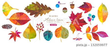 秋の紅葉した、自然素材のイラストセット。紅葉やどんぐりなどの木の実。カラフルなペインティングテクスチ 132059977