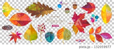秋の紅葉した、自然素材のイラストセット。紅葉やどんぐりなどの木の実。カラフルなペインティングテクスチ 132059977