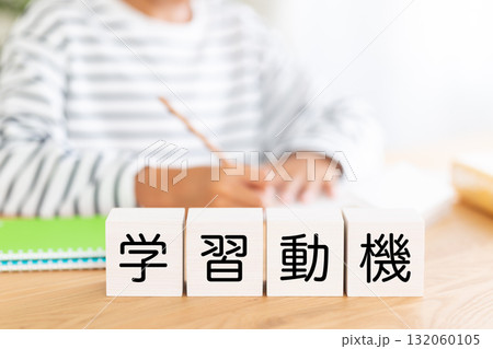 学習動機のブロックと勉強をする小学生の男の子 学習動機のブロックと勉強をする小学生の男の子 132060105