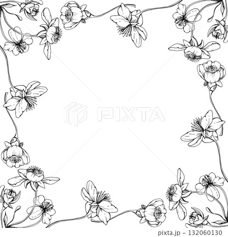 Cherry sakura white flower and bud on stems, hand drawn vector ink, apple blossom early spring wildflower botanical illustration. Isolated border frame, for wedding, florist shop, scrapbooking 132060130