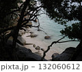 フィッツロイ島–木々の間から望む岩浜と青い海 132060612