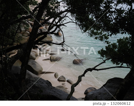 フィッツロイ島–木々の間から望む岩浜と青い海 132060612