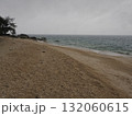 フィッツロイ島–木陰と岩が彩る曇り空の浜辺 132060615