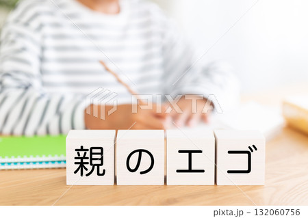 親のエゴのブロックと勉強をする小学生の男の子 132060756