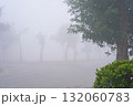 Morning fog. View of the road and trees growing along it. Outskirts of a city in South Asia. No people or traffic. Horizontal image. Copy space is on the side top or bottom. Real scene, natural colors 132060783