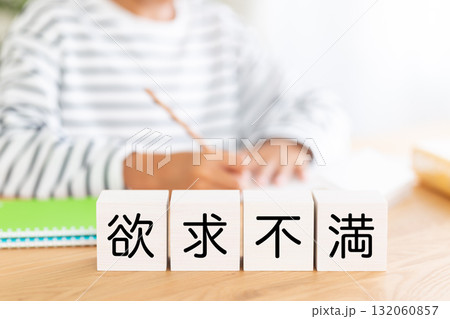 欲求不満のブロックと勉強をする小学生の男の子 132060857