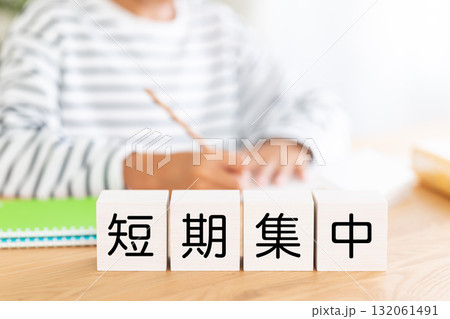 短期集中のブロックと勉強をする小学生の男の子 短期集中のブロックと勉強をする小学生の男の子 132061491