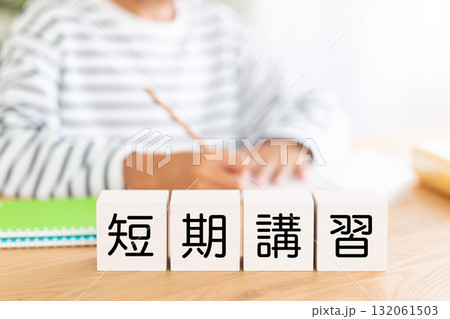 短期講習のブロックと勉強をする小学生の男の子 132061503