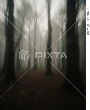 Dark trees rise in a foggy forest, creating an eerie atmosphere. The visibility is low as twilight settles, making the surroundings appear haunting and mysterious Generative AI 132061698