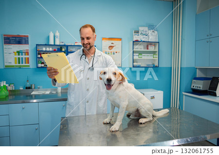 Vet examines cheerful dog in bright clinic setting 132061755