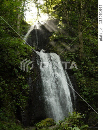 奥入瀬渓流の風景 奥入瀬渓流の風景 132061945