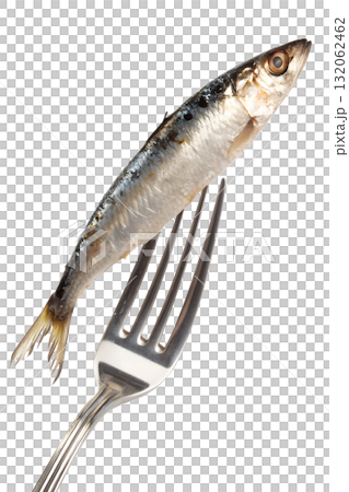 Whole sardine served on a polished silver fork against transparent background, isolated for seafood and culinary themes 132062462