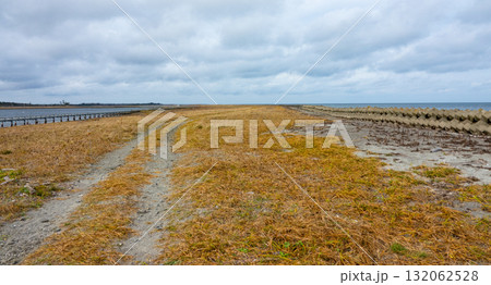 最果て感のある北海道根室市の秋の春国岱の風景 最果て感のある北海道根室市の秋の春国岱の風景 132062528