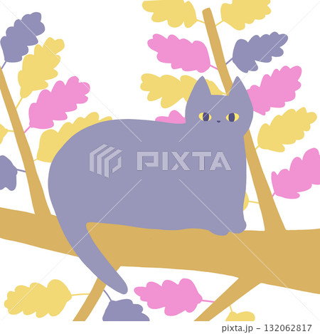 木の上で休むネコ 木の上で休むネコ 132062817
