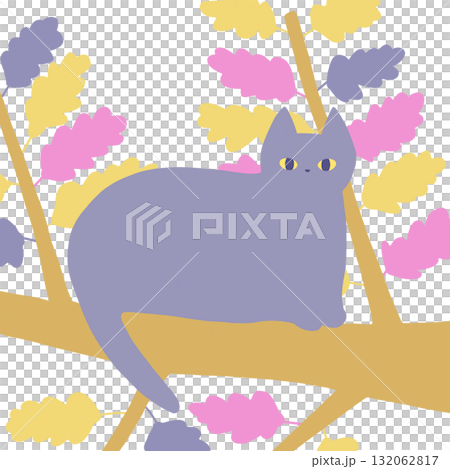 木の上で休むネコ 木の上で休むネコ 132062817