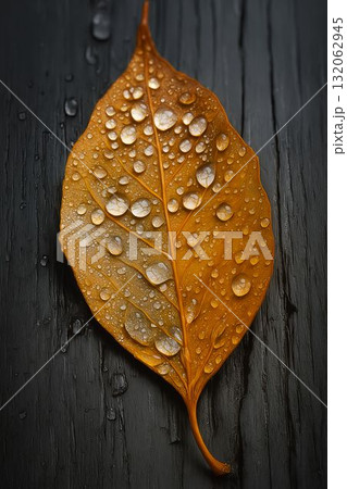 Close-up of a wet orange leaf with water droplets on a dark wooden surface Close-up of a wet orange leaf with water droplets on a dark wooden surface 132062945
