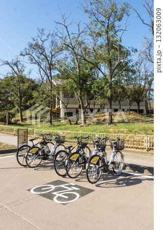 レンタサイクル（鳥取砂丘） 132063009