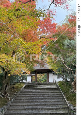 京都市左京区鹿ヶ谷 住蓮山安楽寺の紅葉 京都市左京区鹿ヶ谷 住蓮山安楽寺の紅葉 132063847