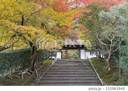 京都市左京区鹿ヶ谷　住蓮山安楽寺の紅葉 132063848