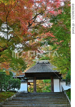 京都市左京区鹿ヶ谷 住蓮山安楽寺の紅葉 京都市左京区鹿ヶ谷 住蓮山安楽寺の紅葉 132063849