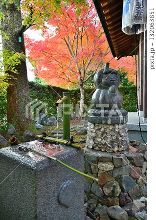京都市左京区鹿ヶ谷　住蓮山安楽寺の紅葉 132063851