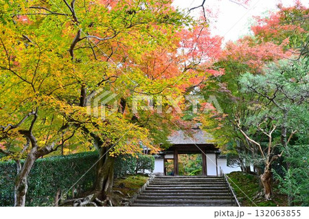 京都市左京区鹿ヶ谷 住蓮山安楽寺の紅葉 京都市左京区鹿ヶ谷 住蓮山安楽寺の紅葉 132063855