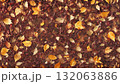 紅葉の落ち葉 132063886
